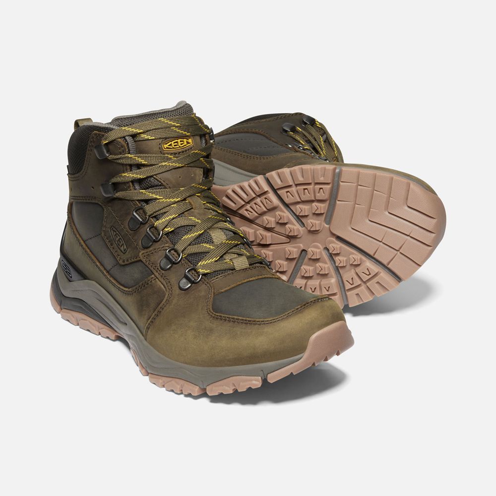 Keen Laarzen Heren Olijfgroen - Innate Leern Waterproof - 35981-JANC